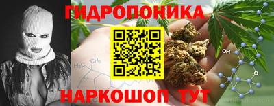 СК Балахна
