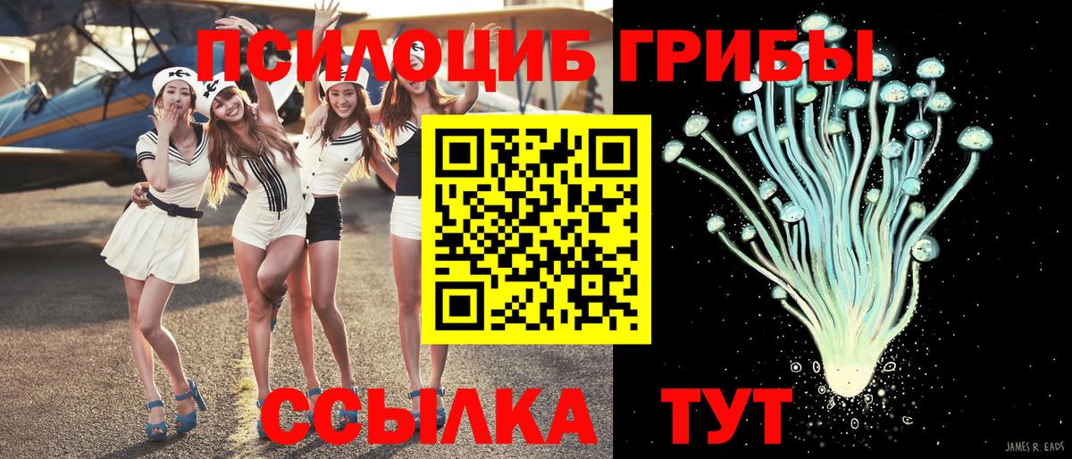 Галлюциногенные грибы GOLDEN TEACHER Гулькевичи
