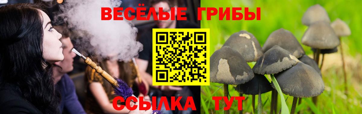 Псилоцибиновые грибы GOLDEN TEACHER  Вход с VPN  Гулькевичи 
